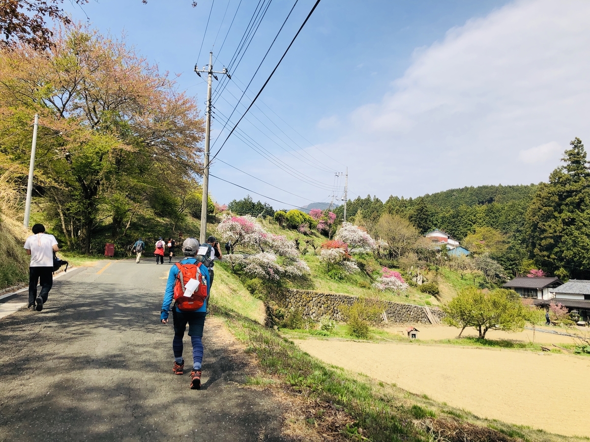 f:id:hatchyxoxo:20190519232353j:plain