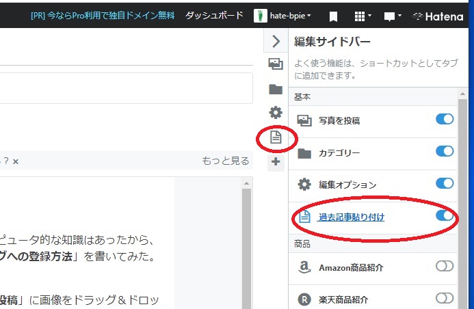 f:id:hate-bpie:20210125001909j:plain