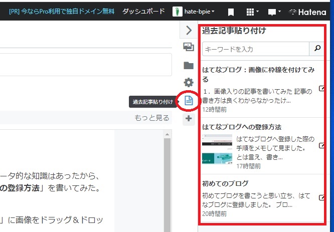f:id:hate-bpie:20210125002207j:plain