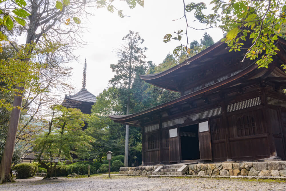 f:id:hateblochang:20190804151736j:plain f:id:hateblochang:20190804151736j:plain