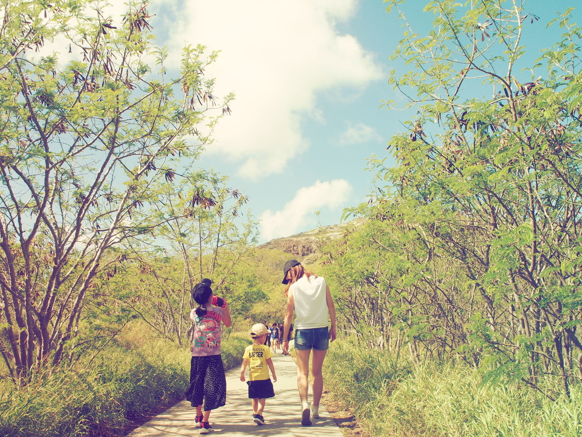 f:id:hateblochang:20190804152110j:plain f:id:hateblochang:20190804152110j:plain