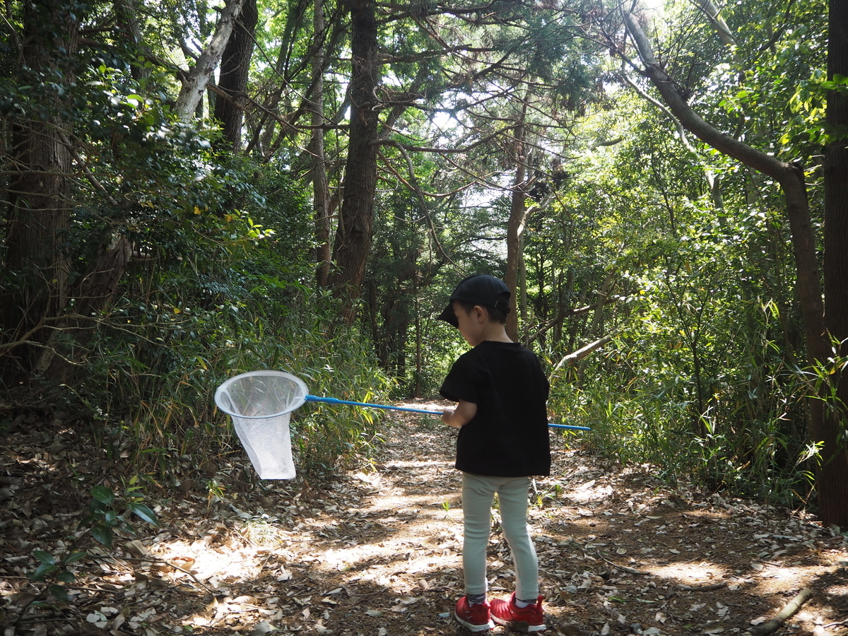 f:id:hateblochang:20200512132305j:plain f:id:hateblochang:20200512132305j:plain