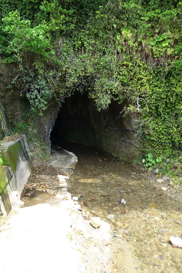 f:id:hatebu0601:20180712203851j:plain f:id:hatebu0601:20180712203851j:plain
