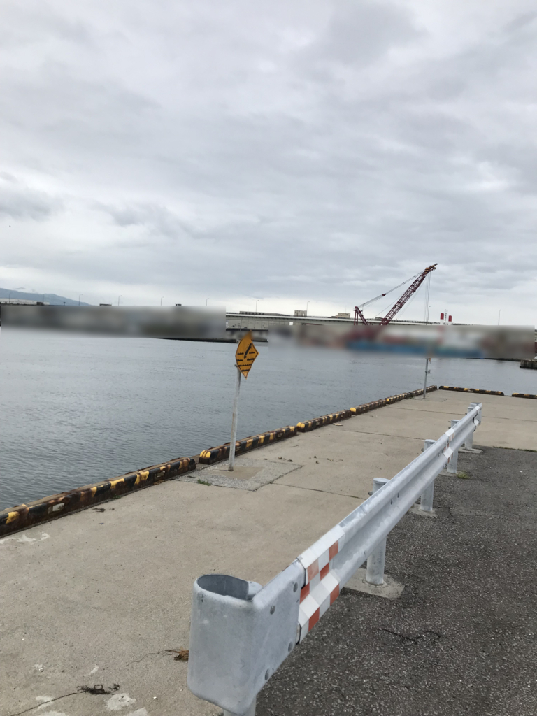 f:id:hateburoponnpu:20180705042438j:plain