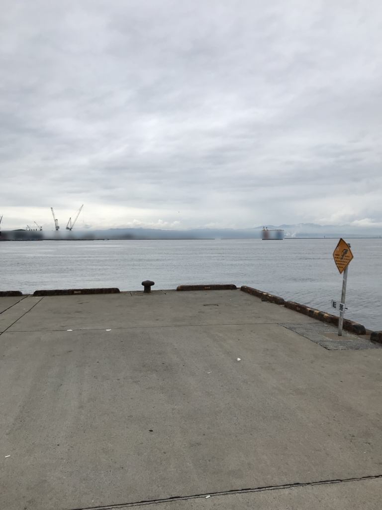 f:id:hateburoponnpu:20180705042836j:plain