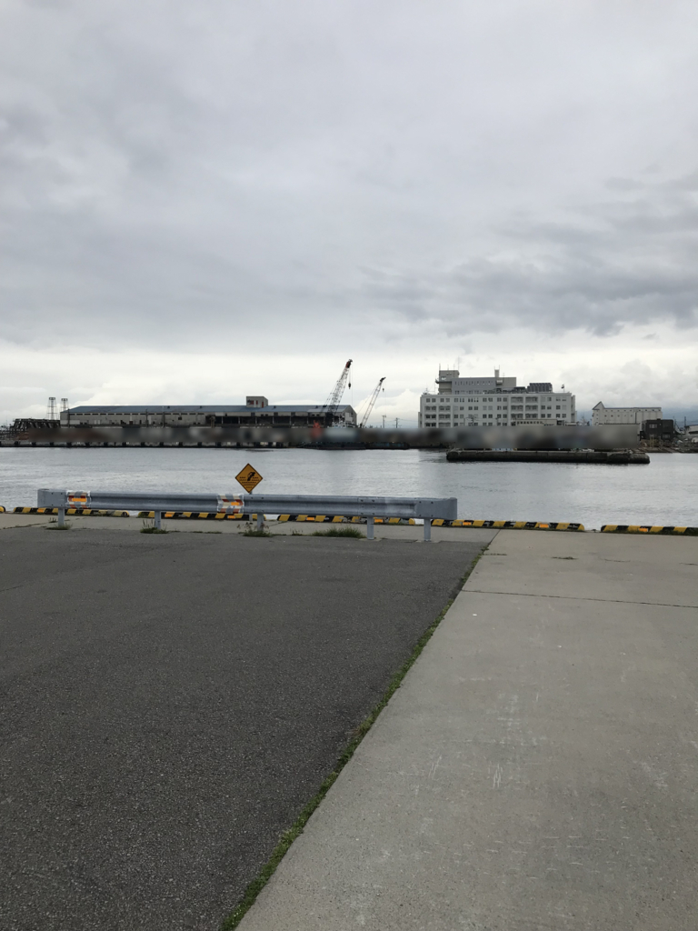 f:id:hateburoponnpu:20180705044628j:plain