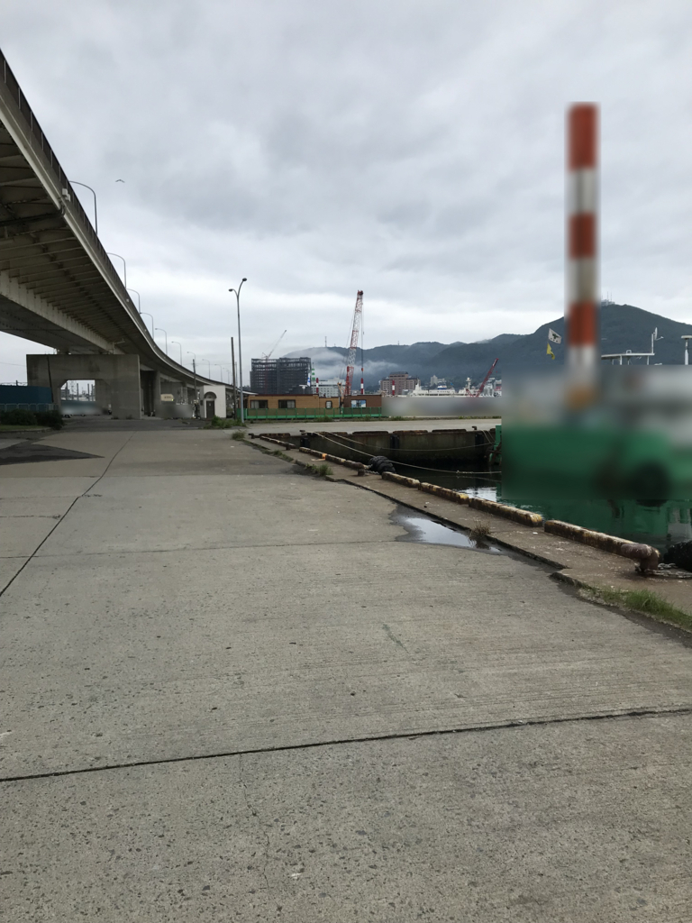 f:id:hateburoponnpu:20180705050052j:plain