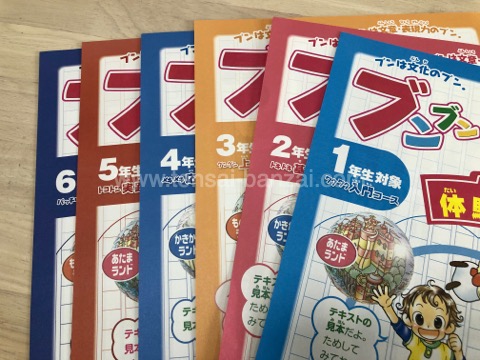 ブンブンどりむ 小学生2年生対象 1年分 齋藤孝先生監修 作文特化の通信教育『ブンブンどりむ』】2024