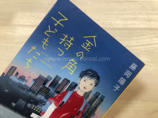 中学受験小説「金の角持つ子どもたち」表紙
