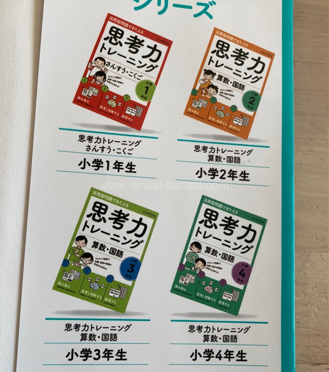 【フルセット 未記入 切り離し済】思考力国語 3年生 Z会 小学生のための思考力ひろがるワーク 入門編
