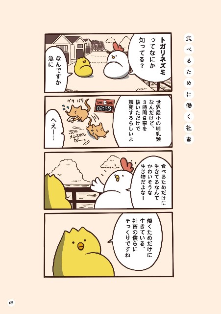 f:id:hatehatehattennna:20190823133918j:image f:id:hatehatehattennna:20190823133918j:image