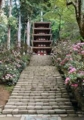 f:id:hatehei666:20120307081359j:image:medium:left