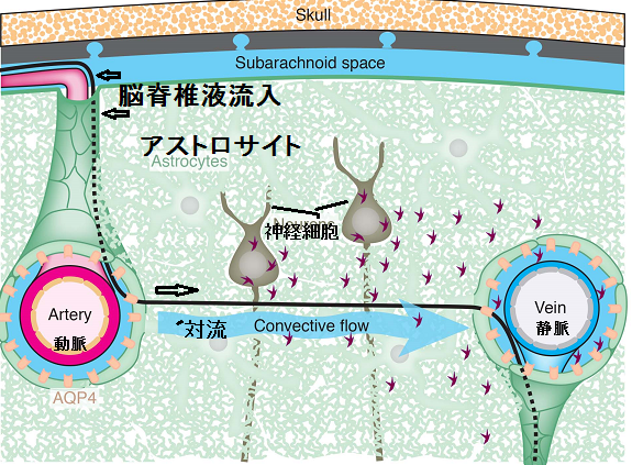 f:id:hatehei666:20131027222155p:image:w360:left