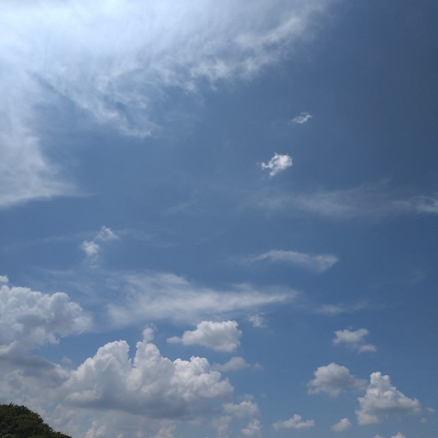 f:id:hateintama:20240819001353j:image