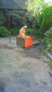 f:id:hatekota810:20081027110800j:image