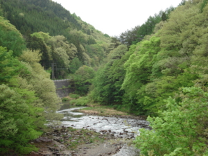 f:id:hatekota810:20090517090752j:image:left