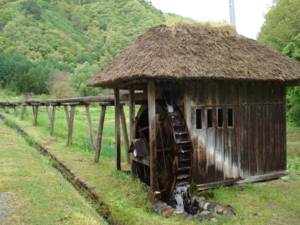 f:id:hatekota810:20090517090921j:image:left