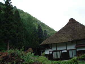 f:id:hatekota810:20090517091435j:image:left