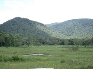 f:id:hatekota810:20090726141928j:image:left