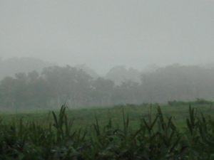 f:id:hatekota810:20090726181208j:image:left