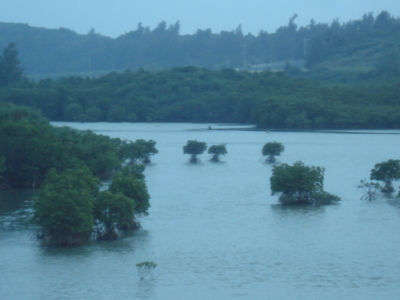 f:id:hatekota810:20090823062026j:image