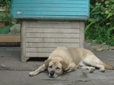 f:id:hatekota810:20090826210546j:image