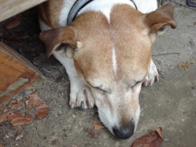 f:id:hatekota810:20090908052256j:image