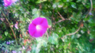 f:id:hatekota810:20090913064034j:image