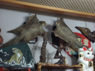 f:id:hatekota810:20090916051537j:image