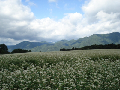 f:id:hatekota810:20090918051712j:image