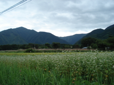 f:id:hatekota810:20090918051717j:image