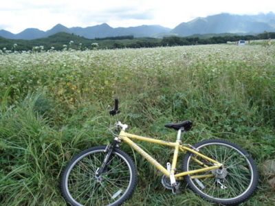 f:id:hatekota810:20090918051835j:image