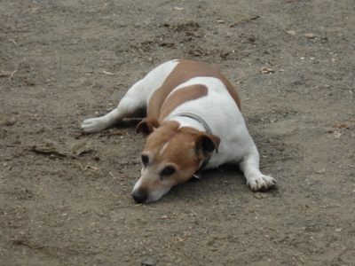 f:id:hatekota810:20090920061641j:image