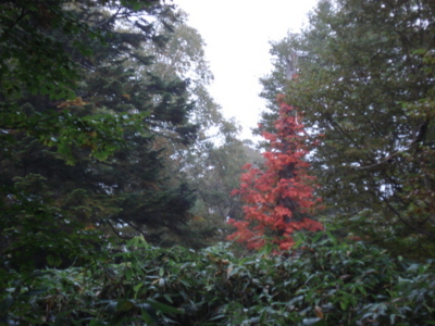 f:id:hatekota810:20090923055857j:image