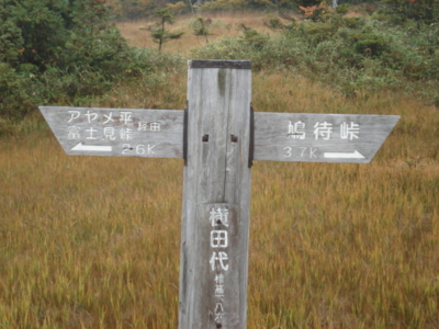 f:id:hatekota810:20090923060111j:image