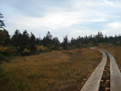 f:id:hatekota810:20090923060112j:image