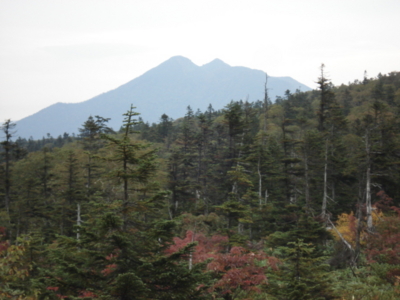 f:id:hatekota810:20090923182943j:image