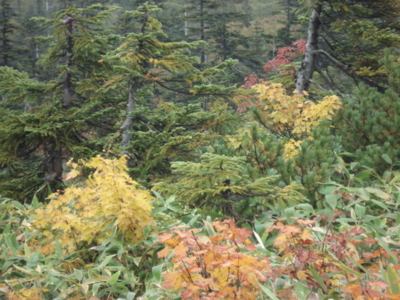 f:id:hatekota810:20090923182945j:image