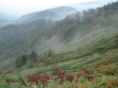 f:id:hatekota810:20090923183738j:image