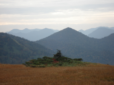 f:id:hatekota810:20090923183744j:image