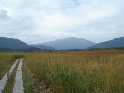 f:id:hatekota810:20090927190306j:image