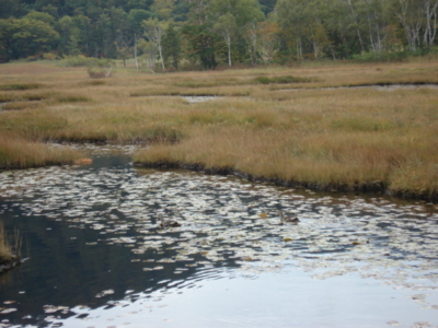 f:id:hatekota810:20090927190445j:image