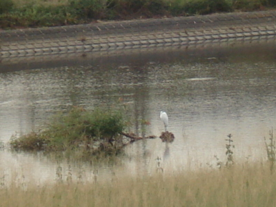 f:id:hatekota810:20090928192843j:image