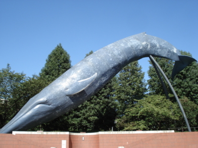 f:id:hatekota810:20091001054106j:image