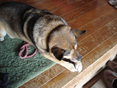 f:id:hatekota810:20091006053252j:image