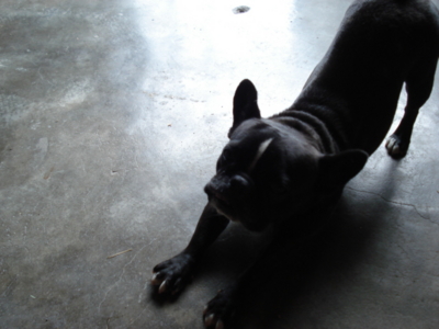 f:id:hatekota810:20091007051547j:image