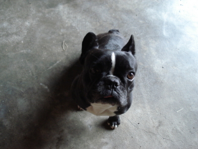 f:id:hatekota810:20091007051723j:image