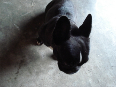 f:id:hatekota810:20091007051724j:image