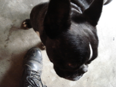 f:id:hatekota810:20091007051725j:image