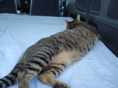 f:id:hatekota810:20091007052526j:image